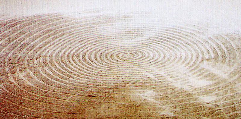 Christine Mühlberger Works