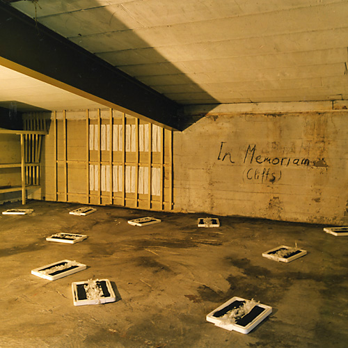 Christine Mühlberger Works